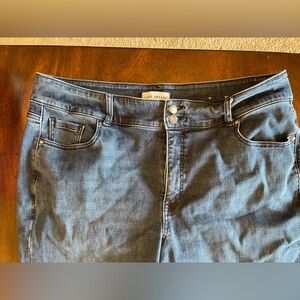 Lane Bryant Indigo Denim Pants